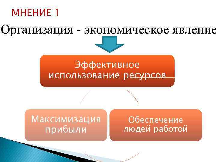 МНЕНИЕ 1 Организация - экономическое явление Эффективное использование ресурсов Максимизация прибыли Обеспечение людей работой