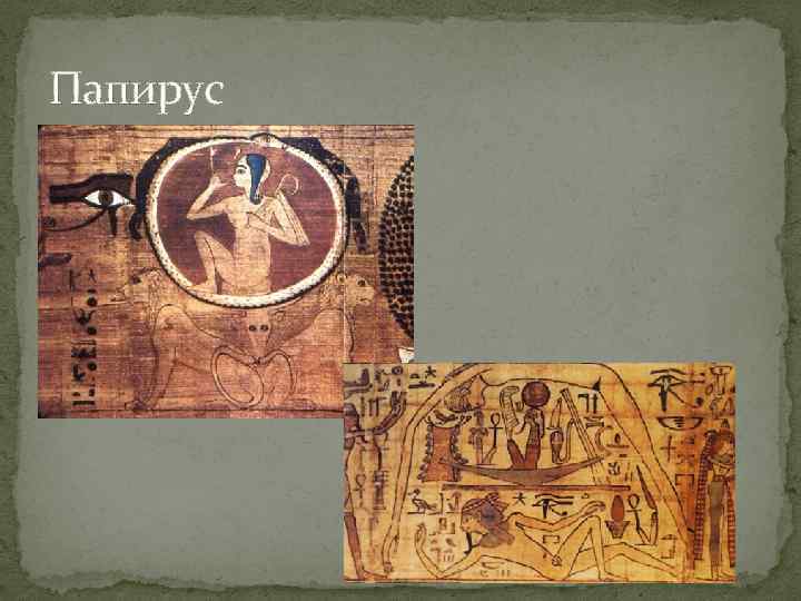 Папирус 