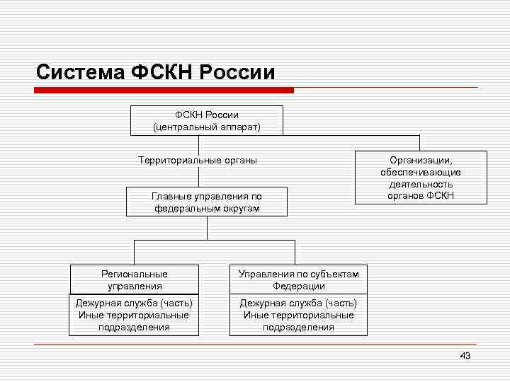 Система ФСКН России (центральный аппарат) Территориальные органы Главные управления по федеральным округам Региональные управления