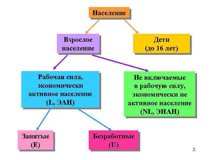 Население Взрослое население Рабочая сила, экономически активное население (L, ЭАН) Занятые (E) Дети (до