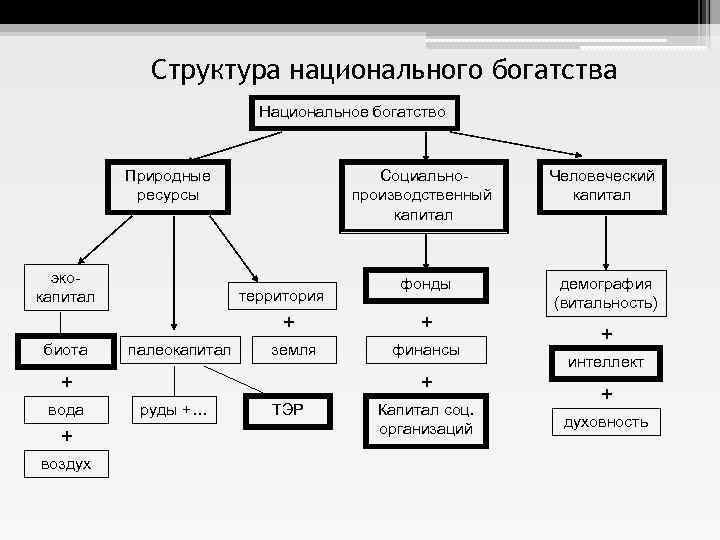 Структура национального богатства Национальное богатство Природные ресурсы экокапитал Социальнопроизводственный капитал территория + биота палеокапитал