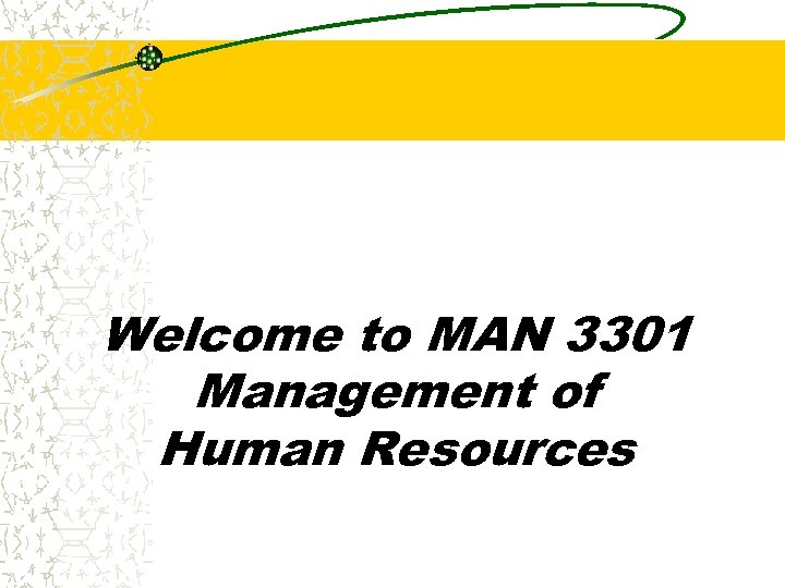 Welcome to MAN 3301 Management of Human Resources 