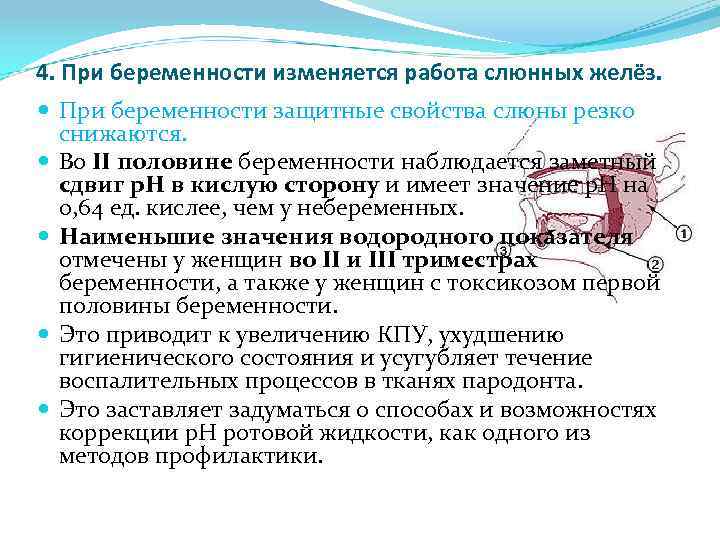 4. При беременности изменяется работа слюнных желёз. При беременности защитные свойства слюны резко снижаются.