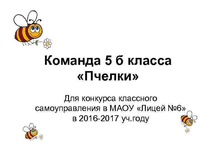 Команда 5 б класса «Пчелки» Для конкурса классного самоуправления в МАОУ «Лицей № 6»