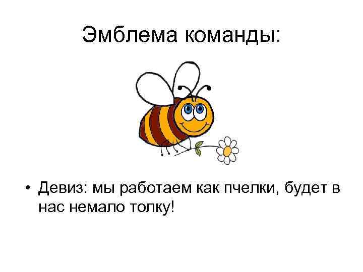 Эмблема команды: • Девиз: мы работаем как пчелки, будет в нас немало толку! 