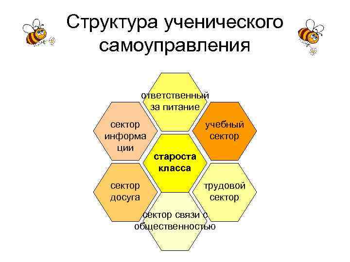 Структура ученического самоуправления ответственный за питание сектор информа ции сектор досуга учебный сектор староста