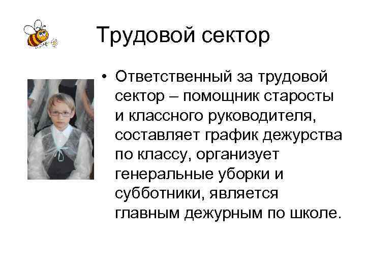 Трудовой сектор • Ответственный за трудовой сектор – помощник старосты и классного руководителя, составляет