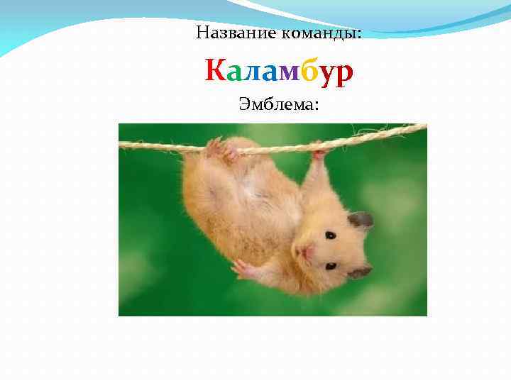 Название команды: Каламбур Эмблема: 