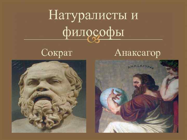 Натуралисты и философы Сократ Анаксагор 