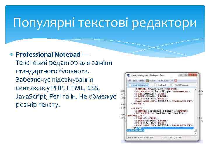 Популярні текстові редактори Professional Notepad — Текстовий редактор для заміни стандартного блокнота. Забезпечує підсвічування