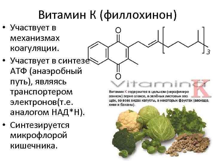 Витамин К (филлохинон) • Участвует в механизмах коагуляции. • Участвует в синтезе АТФ (анаэробный