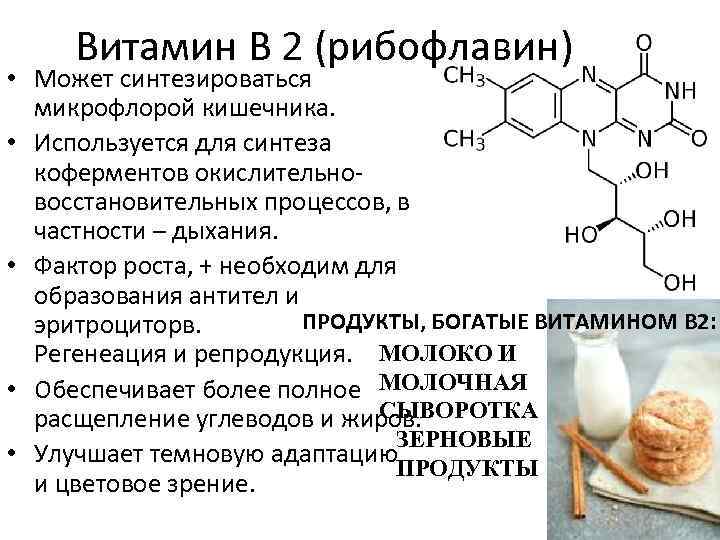 Витамин В 2 (рибофлавин) • Может синтезироваться микрофлорой кишечника. • Используется для синтеза коферментов