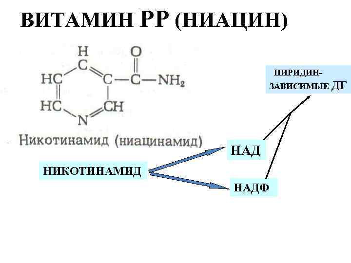 ВИТАМИН РР (НИАЦИН) ПИРИДИНЗАВИСИМЫЕ ДГ НАД НИКОТИНАМИД НАДФ 