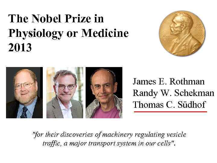 The Nobel Prize in Physiology or Medicine 2013 James E. Rothman Randy W. Schekman