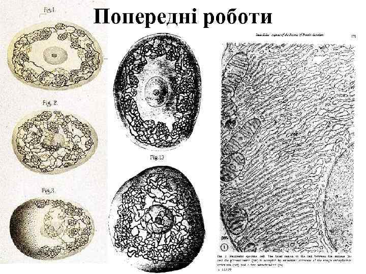 Попередні роботи 