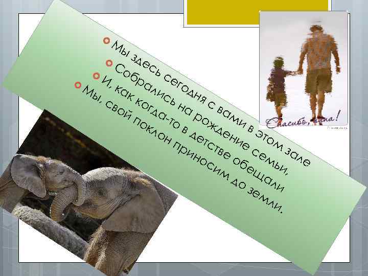  Мы зд Со есь И, бра сег Мы ка ли одн я ,