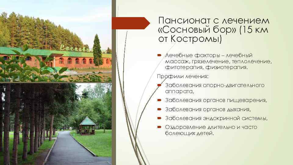 Пансионат с лечением «Сосновый бор» (15 км от Костромы) Лечебные факторы – лечебный массаж,
