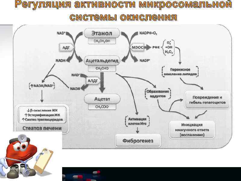 Регуляция активности микросомальной системы окисления 