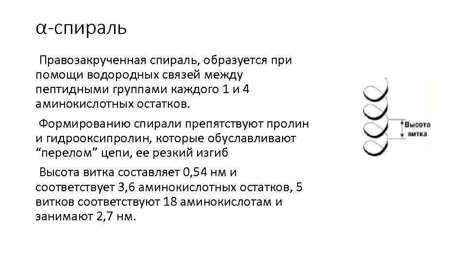 α-спираль Правозакрученная спираль, образуется при помощи водородных связей между пептидными группами каждого 1 и