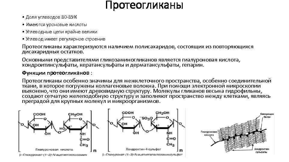 Синтез протеогликанов схема