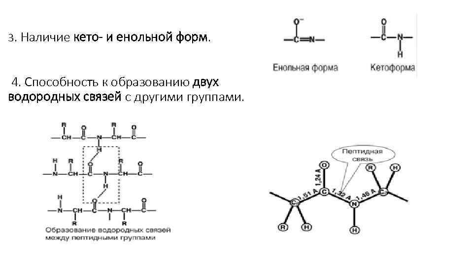 3. Наличие кето- и енольной форм. 4. Способность к образованию двух водородных связей с