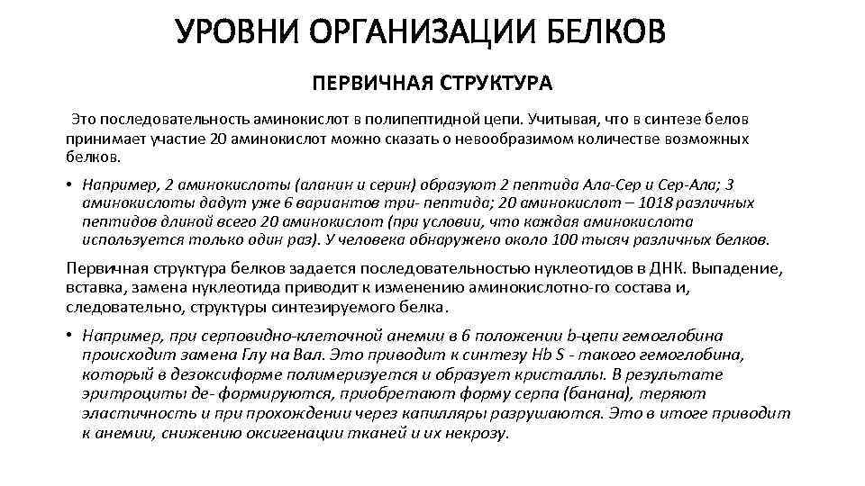  УРОВНИ ОРГАНИЗАЦИИ БЕЛКОВ ПЕРВИЧНАЯ СТРУКТУРА Это последовательность аминокислот в полипептидной цепи. Учитывая, что