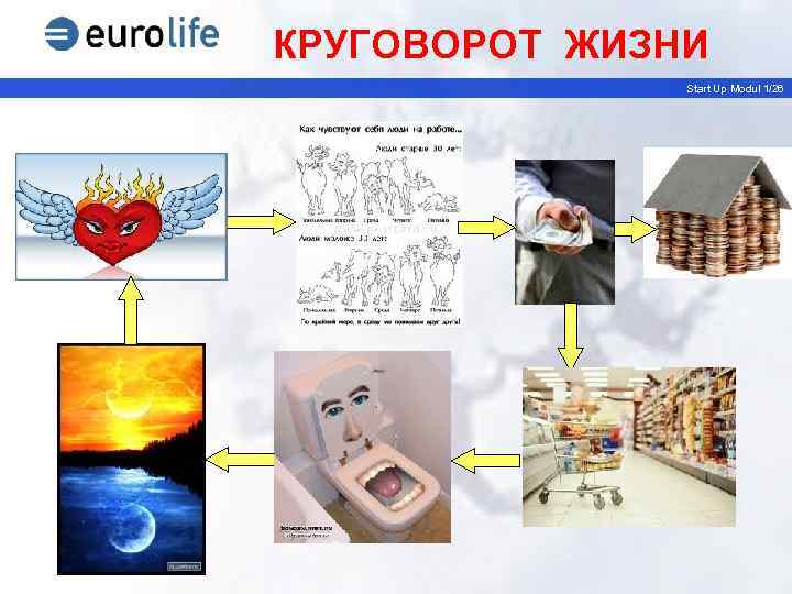 КРУГОВОРОТ ЖИЗНИ Start Up Modul 1/26 