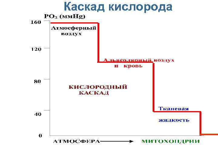 Каскад кислорода 