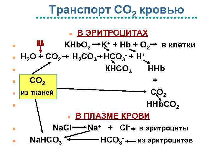 Транспорт СО 2 кровью В ЭРИТРОЦИТАХ КА KHb. O 2 K+ + Hb +