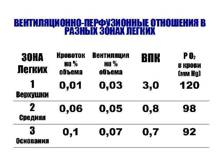 ВЕНТИЛЯЦИОННО-ПЕРФУЗИОННЫЕ ОТНОШЕНИЯ В РАЗНЫХ ЗОНАХ ЛЕГКИХ 