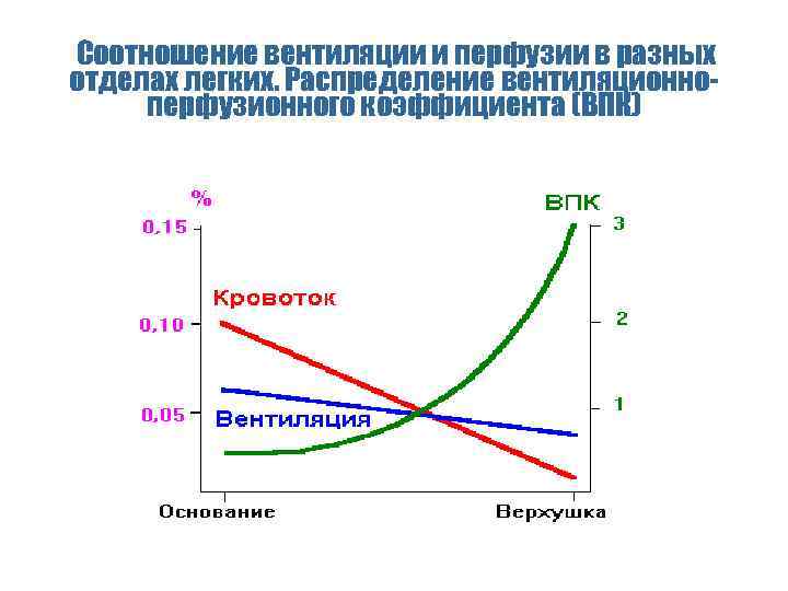 Соотношение вентиляции и перфузии в разных отделах легких. Распределение вентиляционноперфузионного коэффициента (ВПК) 