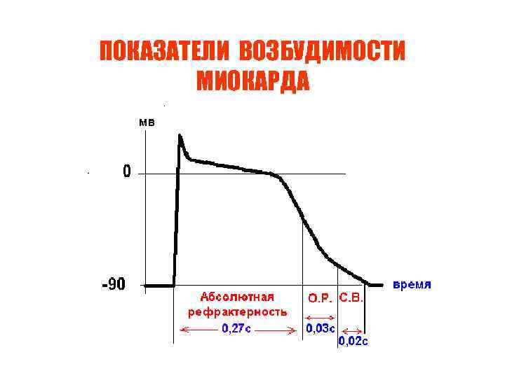 ПОКАЗАТЕЛИ ВОЗБУДИМОСТИ МИОКАРДА 