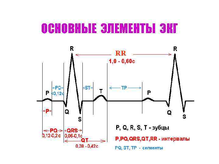 ОСНОВНЫЕ ЭЛЕМЕНТЫ ЭКГ RR 