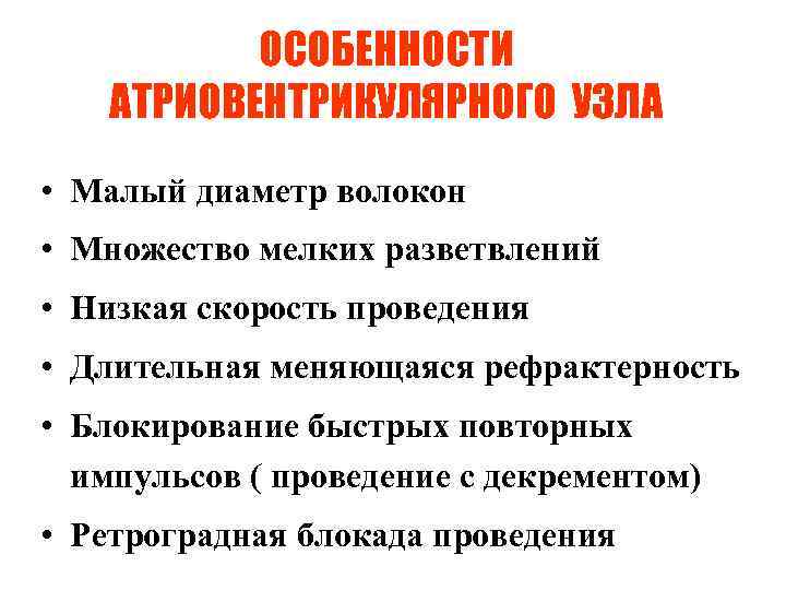 ОСОБЕННОСТИ АТРИОВЕНТРИКУЛЯРНОГО УЗЛА • Малый диаметр волокон • Множество мелких разветвлений • Низкая скорость