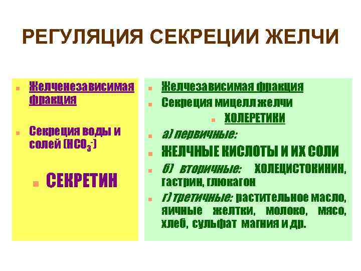 РЕГУЛЯЦИЯ СЕКРЕЦИИ ЖЕЛЧИ n n Желченезависимая фракция Секреция воды и солей (НСО 3 -)