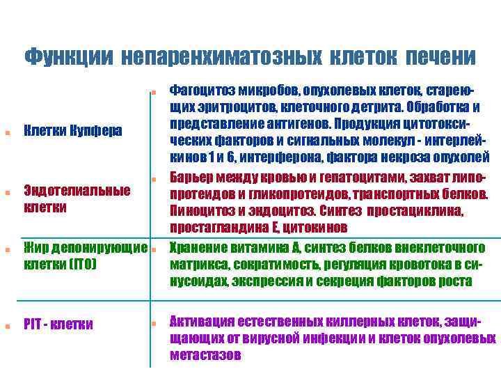 Функции непаренхиматозных клеток печени n n n Клетки Купфера Эндотелиальные клетки n Жир депонирующие