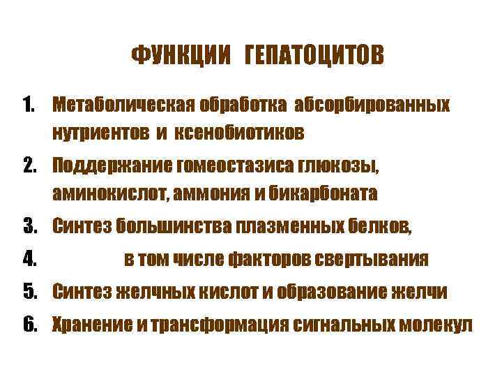 ФУНКЦИИ ГЕПАТОЦИТОВ 1. Метаболическая обработка абсорбированных нутриентов и ксенобиотиков 2. Поддержание гомеостазиса глюкозы, аминокислот,