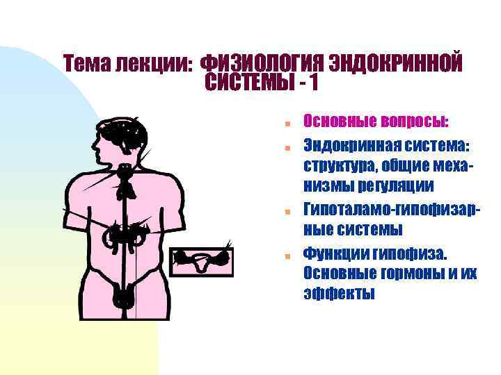 Тема лекции: ФИЗИОЛОГИЯ ЭНДОКРИННОЙ СИСТЕМЫ - 1 n n Основные вопросы: Эндокринная система: структура,