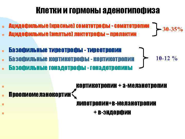 Клетки и гормоны аденогипофиза n n n Ацидофильные (красные) соматотрофы - соматотропин Ацидофильные (желтые)