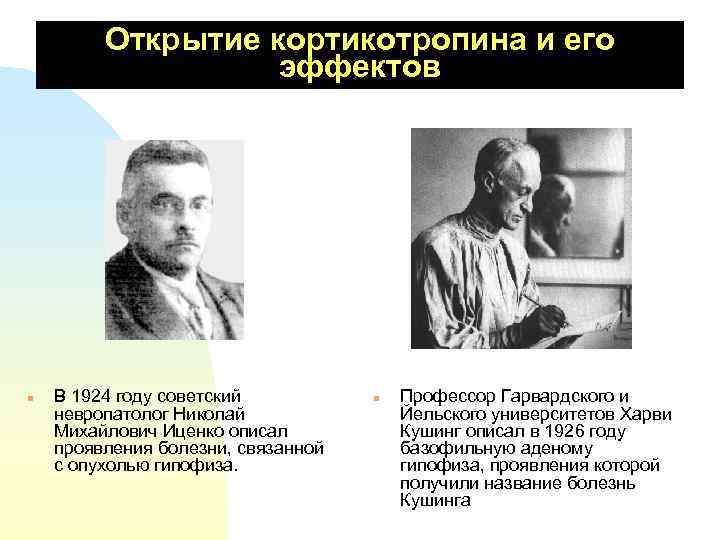 Открытие кортикотропина и его эффектов n В 1924 году советский невропатолог Николай Михайлович Иценко