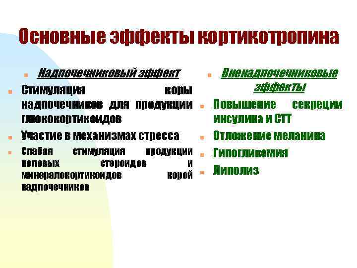 Основные эффекты кортикотропина n n Надпочечниковый эффект Стимуляция коры надпочечников для продукции глюкокортикоидов Участие