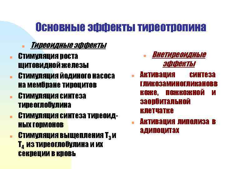Основные эффекты тиреотропина n n n Тиреоидные эффекты Стимуляция роста щитовидной железы Стимуляция йодиного