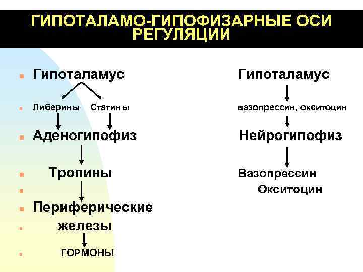 ГИПОТАЛАМО-ГИПОФИЗАРНЫЕ ОСИ РЕГУЛЯЦИИ n Гипоталамус n Либерины вазопрессин, окситоцин n Аденогипофиз n Статины Тропины