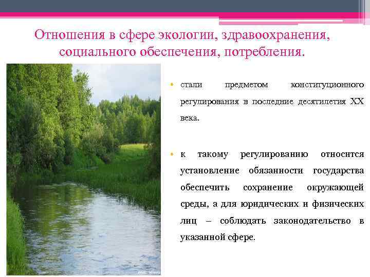 Отношения в сфере экологии, здравоохранения, социального обеспечения, потребления. • стали предметом конституционного регулирования в