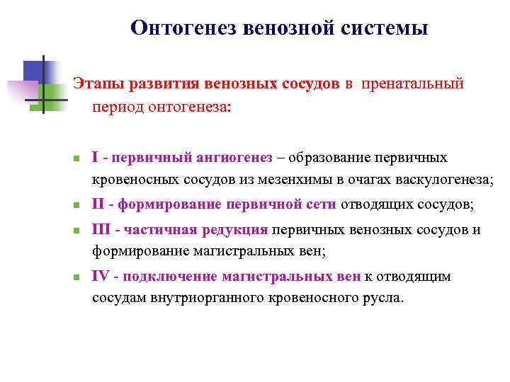 Онтогенез венозной системы Этапы развития венозных сосудов в пренатальный период онтогенеза: n n I