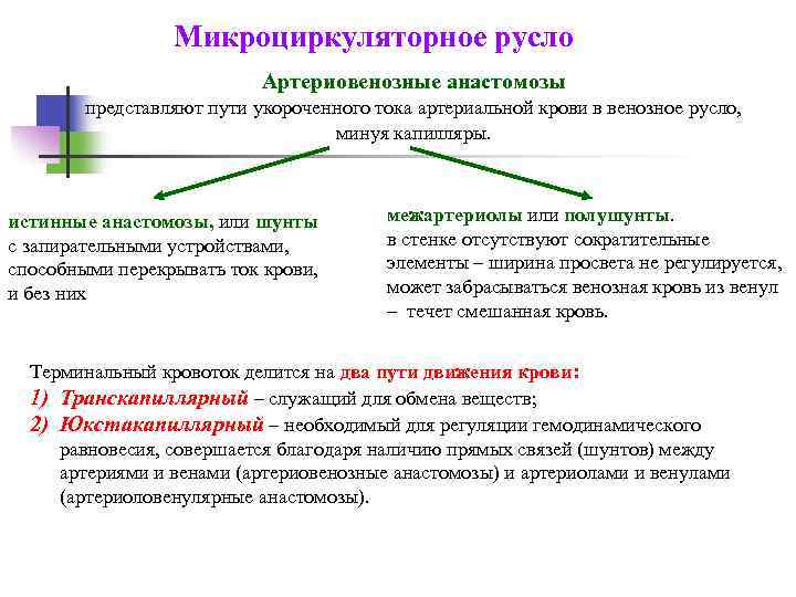 Микроциркуляторное русло Артериовенозные анастомозы представляют пути укороченного тока артериальной крови в венозное русло, минуя