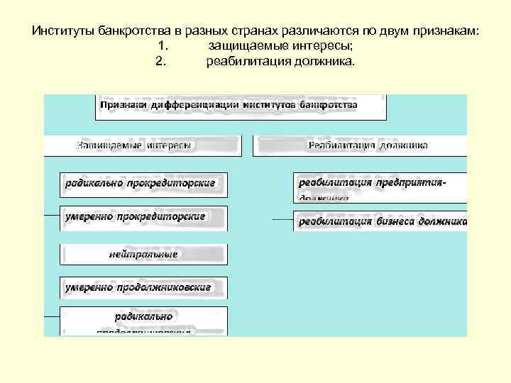 Институты банкротства в разных странах различаются по двум признакам: 1. защищаемые интересы; 2. реабилитация