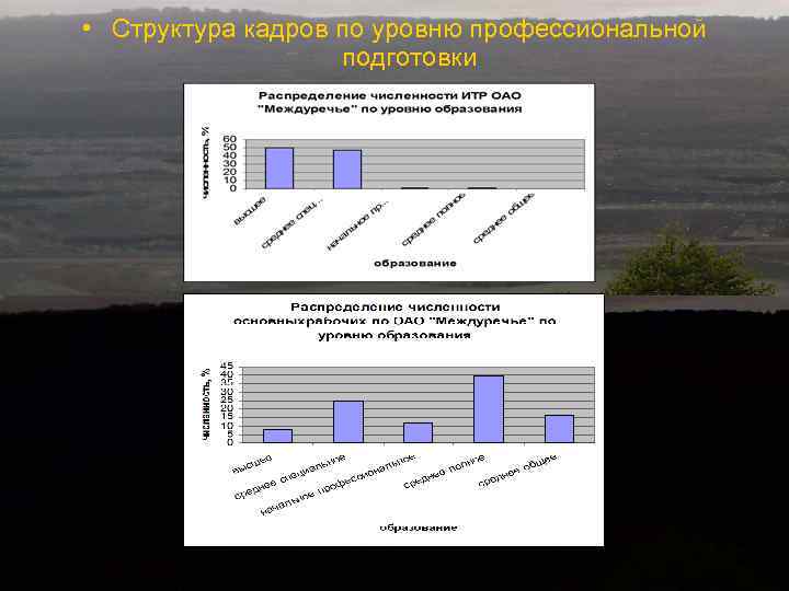  • Структура кадров по уровню профессиональной подготовки 