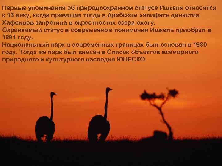 Первые упоминания об природоохранном статусе Ишкеля относятся к 13 веку, когда правящая тогда в