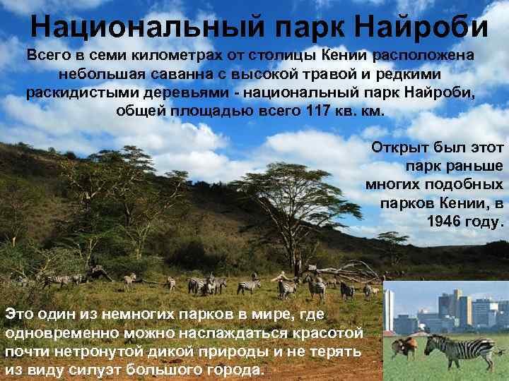 Национальный парк Найроби Всего в семи километрах от столицы Кении расположена небольшая саванна с